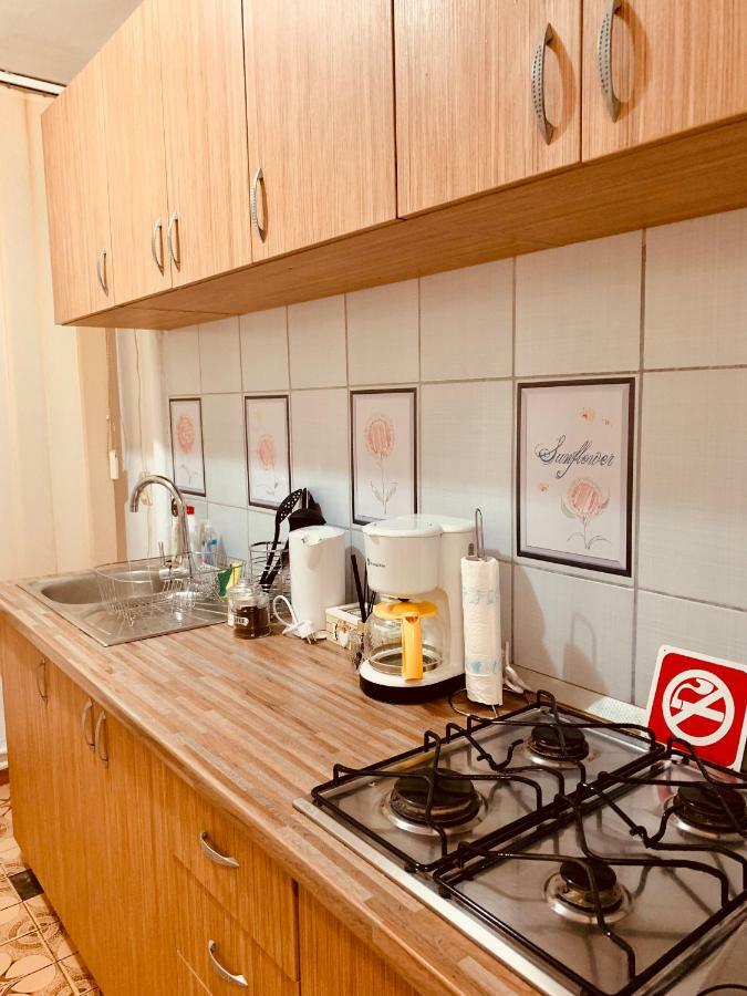 Ultracentral Apartment With All You Need: Wifi, Tv, Ac, Washer, Coffe Timişoara Eksteriør billede