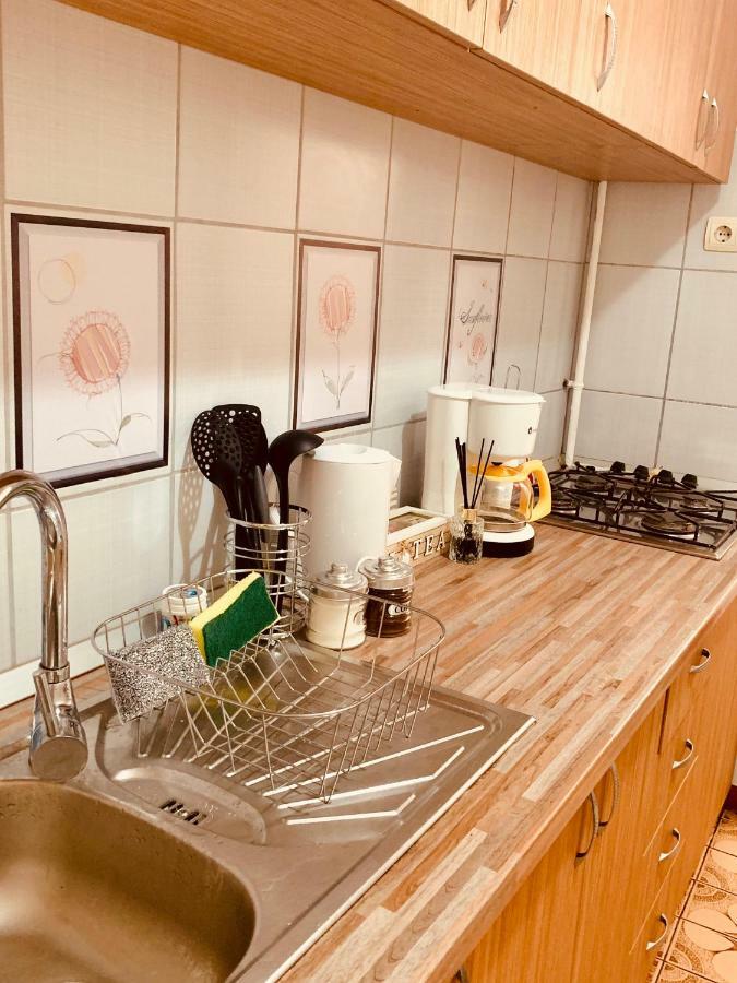 Ultracentral Apartment With All You Need: Wifi, Tv, Ac, Washer, Coffe Timişoara Eksteriør billede